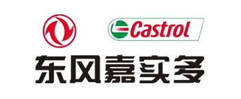 湖北东风嘉实多油品有限公司