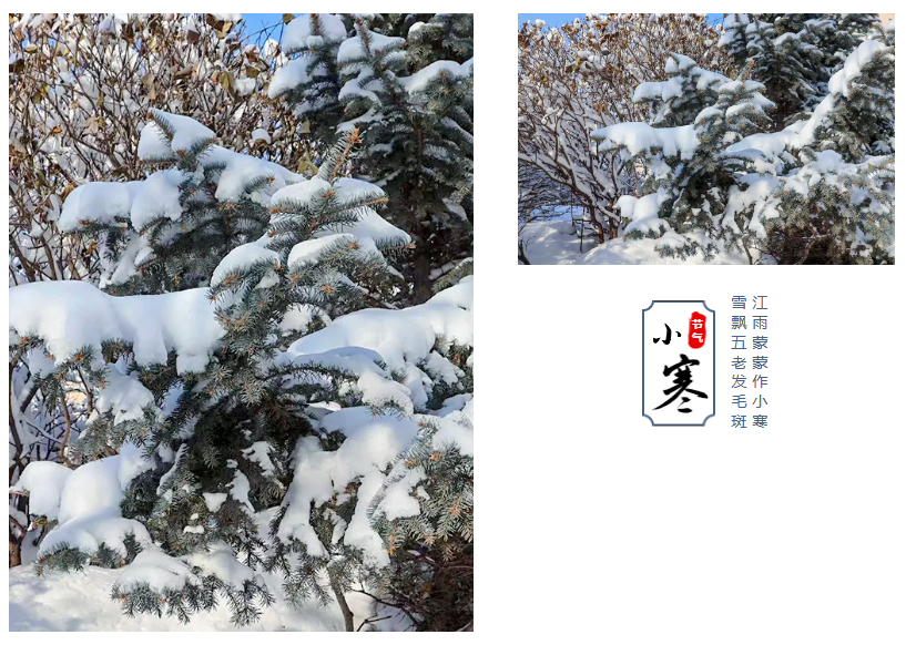 QQ20260120-155258